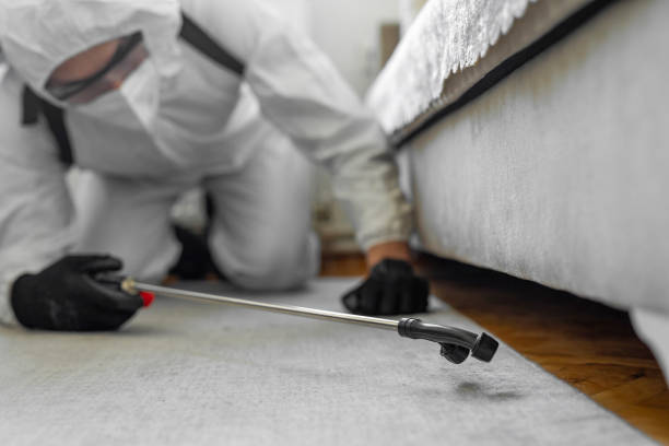 Professional Termite Control technician working in Carpentersville, IL