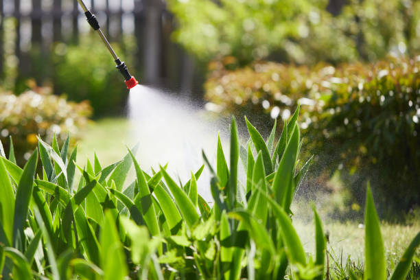 24/7 Emergency Termite Control experts in Carpentersville, IL