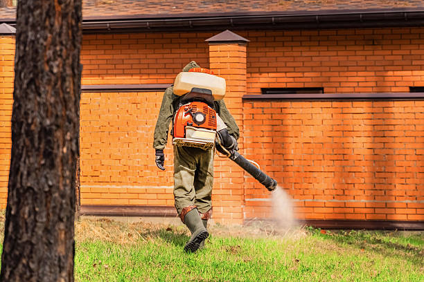 Trusted Mosquito Control service in Carpentersville, IL - Nex Pest Control